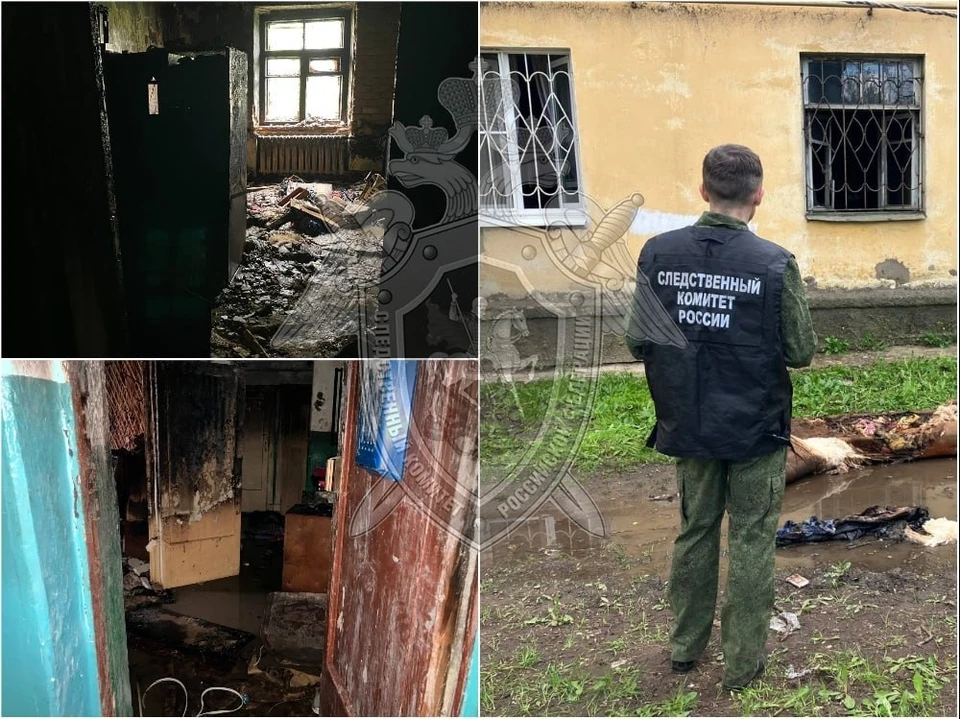 Фото: СУ СК России по Костромской области