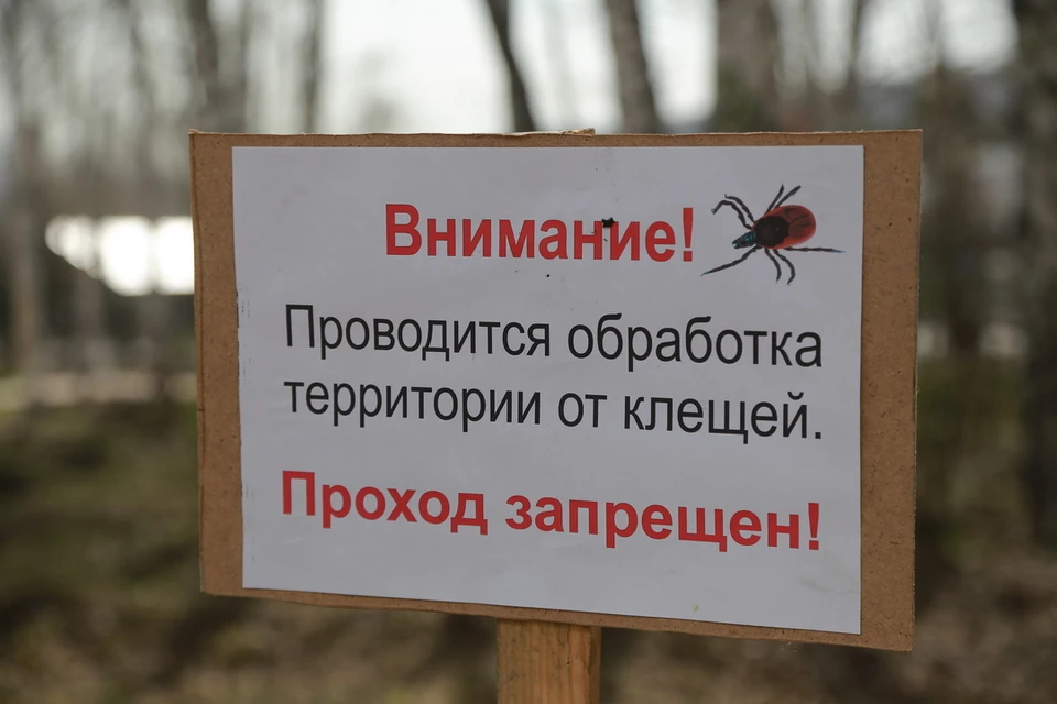 В Новосибирске началась обработка кладбищ от клещей ко Дню Победы.