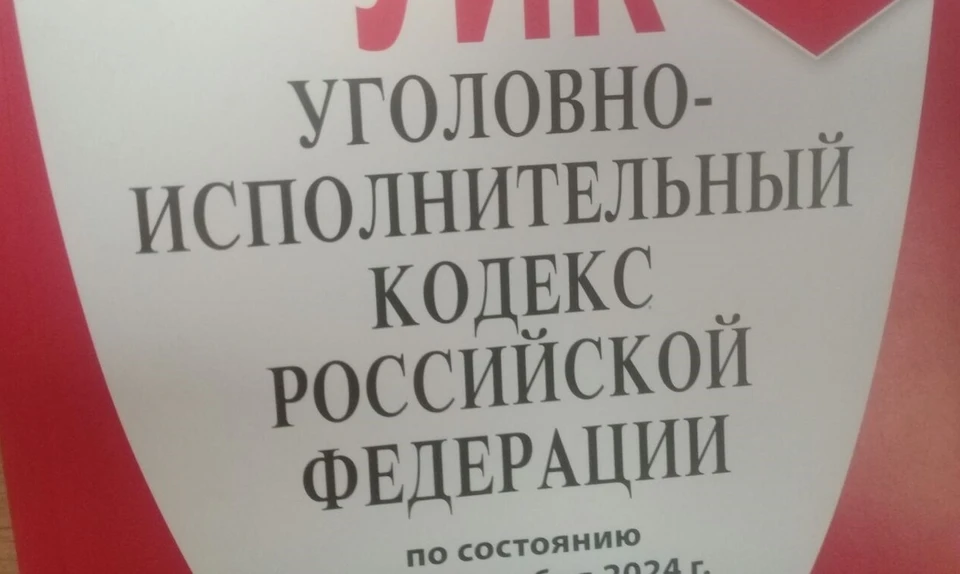В соответствии с ч. 5 ст. 33, ч. 3 ст. 260 УК РФ злоумышленник признан виновным.