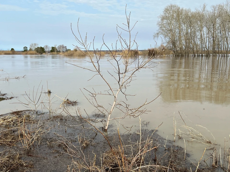Фото предоставлено КП