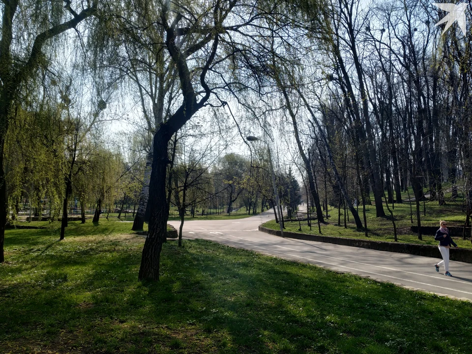 Можно отправляться в парк на прогулку!