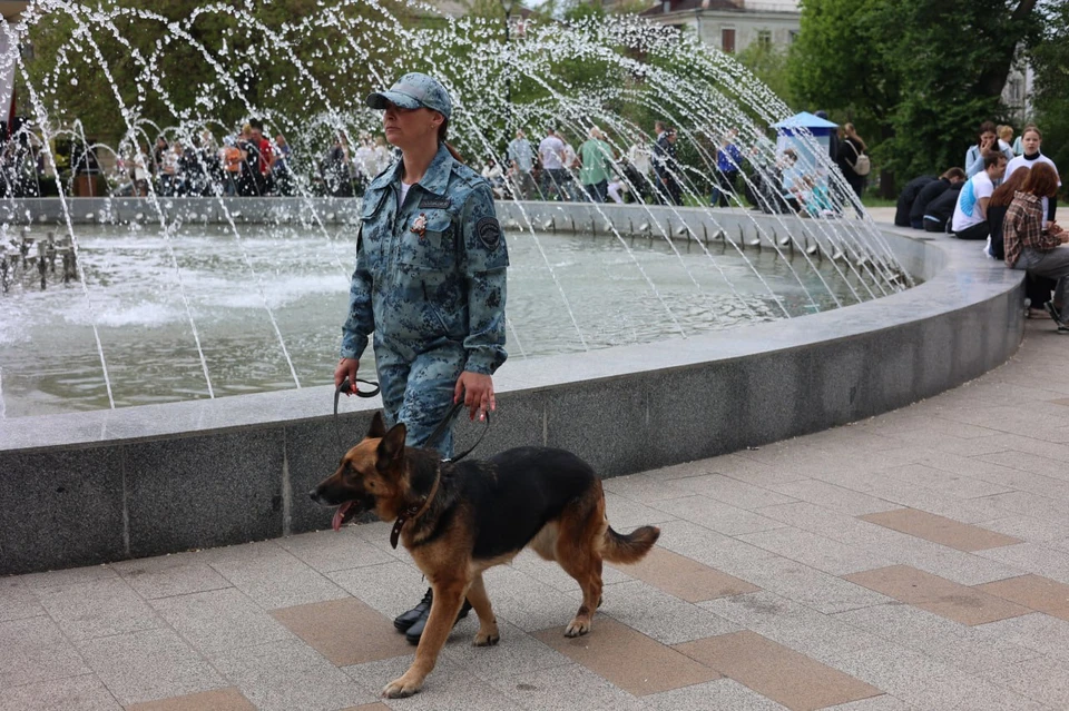 Нарушений общественного порядка допущено не было. Пресс-служба МВД по Луганской Народной Республике