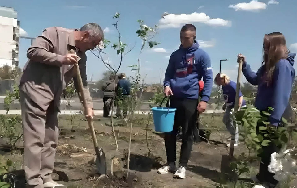 Акция «Сирень Донбасса» дала старт новой традиции. ФОто: скриншот видео / ТГ-канал Главы ДНР