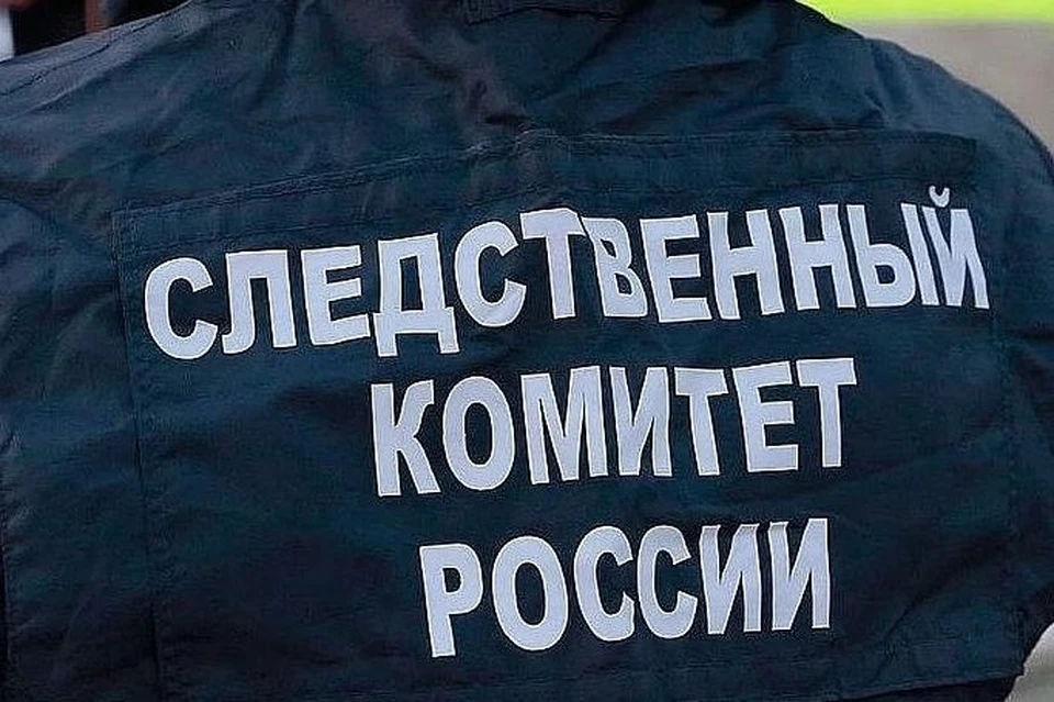 Бастрыкин поручил и.о. руководителя СУСК по Республике Алтай Константину Мальцеву возбудить уголовное дело