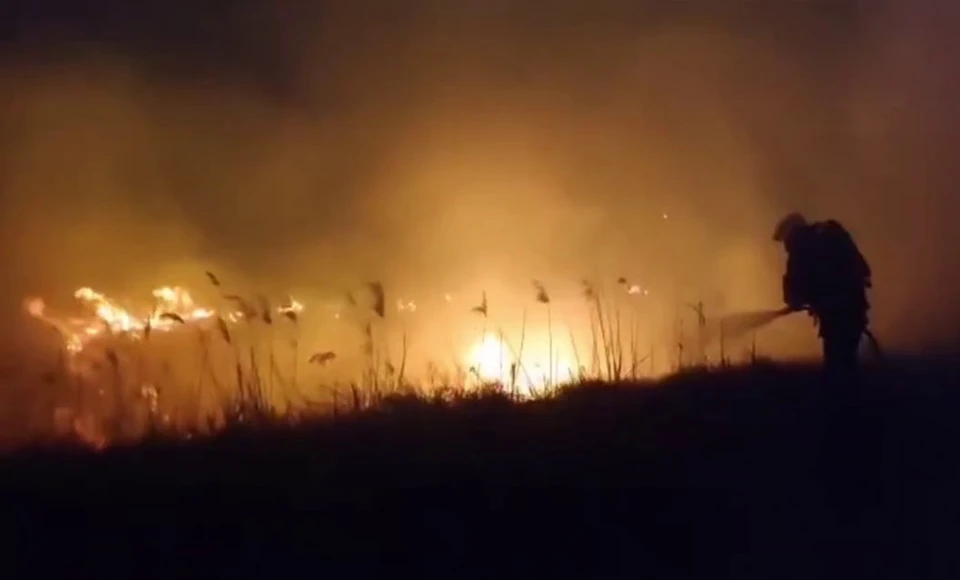 Фото: кадр видео пресс-службы ГУ МЧС по РК