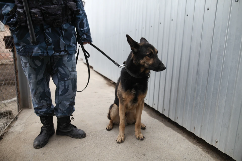 В зданиях провели проверки и не обнаружили взрывоопасных предметов.