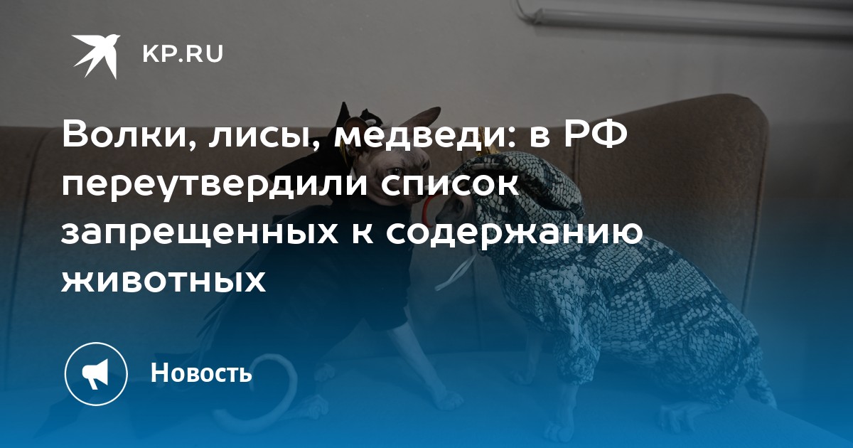 Волки, лисы, медведи: в РФ переутвердили список запрещенных к содержанию животных