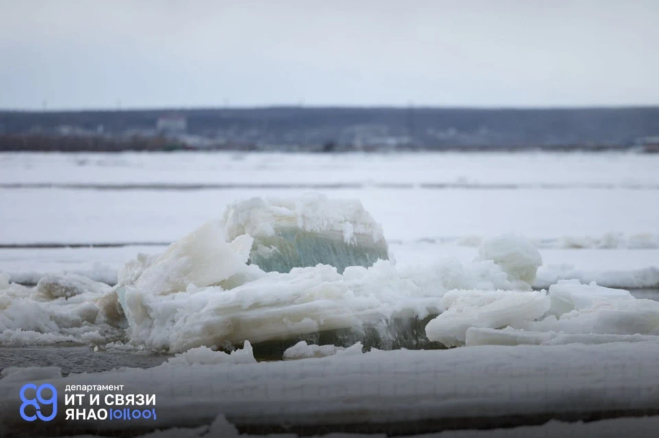 Фото: Сергей Зубков