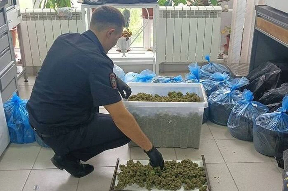 Больше 3 кг высушенных наркотических растений изъяли полицейские