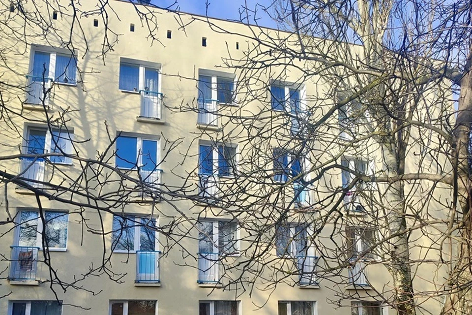 В Орджоникидзевском районе Мариуполя восстанавливают Дом Ветеранов. Фото: ГБУ МО «УТНКР».