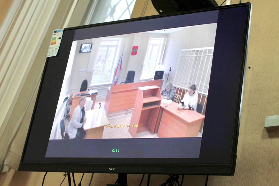 Новосибирский суд отказался ужесточать приговор матери, виновной в гибели детей. Фото: Новосибирский областной суд