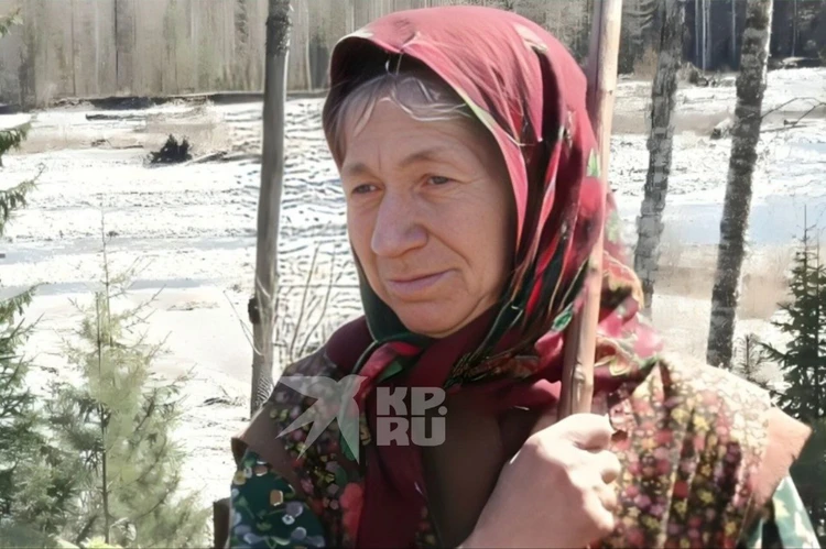Отшельницу Агафью Лыкову одолевают дикие звери: «Голодный волк украл собаку, медведя в огороде отогнали выстрелами»