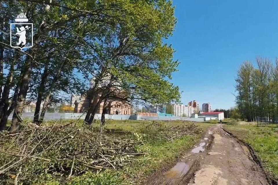 В Ярославле началось благоустройство аллеи Ивана Ткаченко.