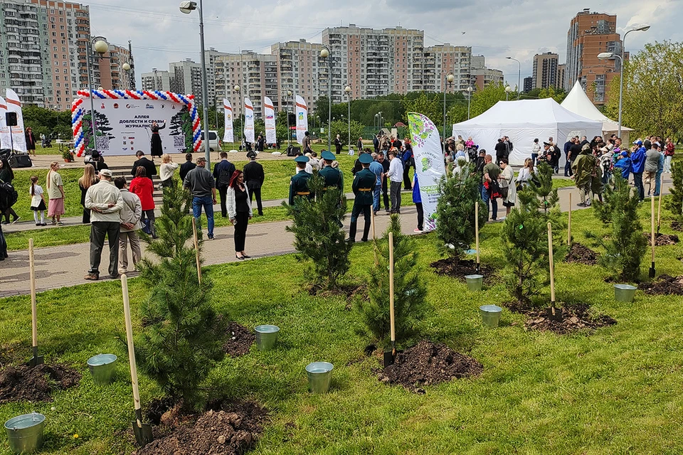 В Москве высадили алтайские кедры в честь погибших военных корреспондентов.
