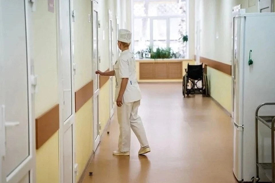 Врачи, переезжающие в ДНР, получат землю под строительство (архивное фото)