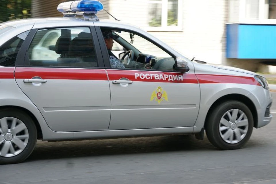 Фото: пресс-служба Управления Росгвардии по Брянской области.
