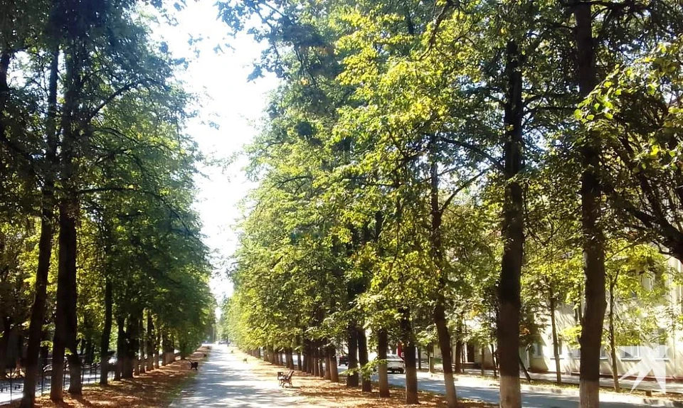Дорожное полотно на улице Чичерина в Калуге стремительно разрушается.
