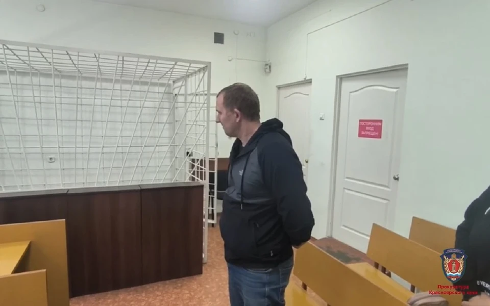 В Красноярске осудили мужчину, который застрелил собак. Скриншот: видео краевой прокуратуры