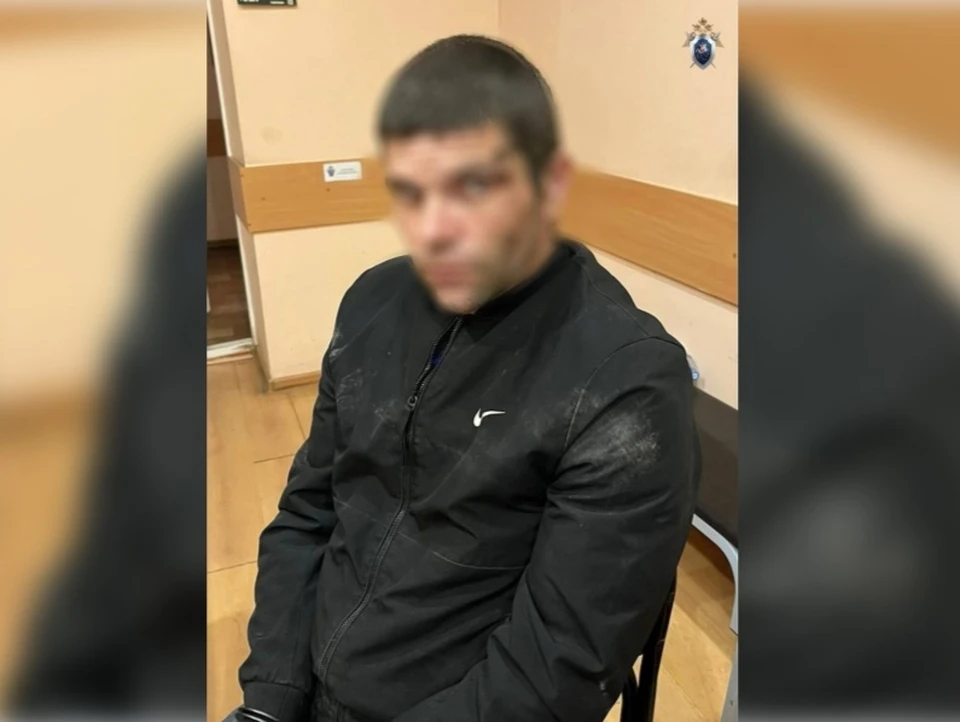 Полицейские задержали и доставили нападавшего в Следственный комитет, где возбудили уголовное дело.