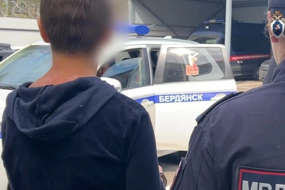 Убийце с молотком из Бердянска предъявили официальные обвинения. Фото: СК РФ