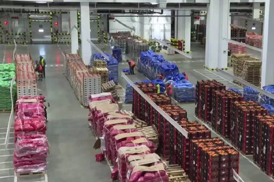 Склад для хранения продуктов в Новороссийске Фото: кадр из видео