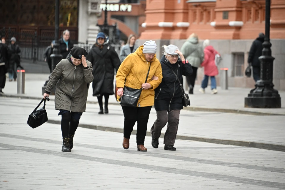 В СФР поделились, что женщин пенсионного возраста в РФ больше, чем мужчин