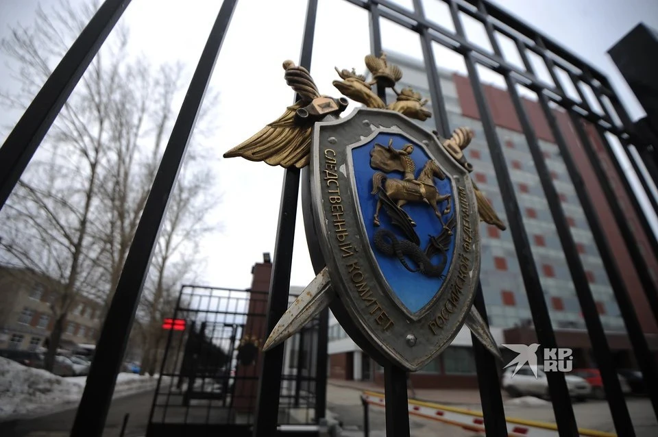 Александр Бастрыкин взял дело под контроль