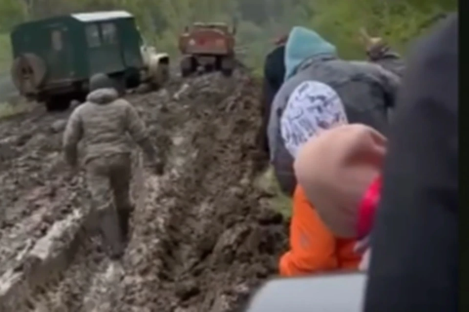Фото: Скрин с видео
