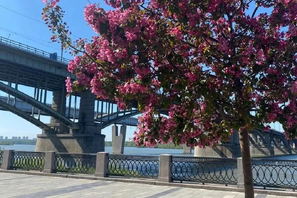 Город должен быть комфортным и красивым для всех. Фото: Анна Терешкова.