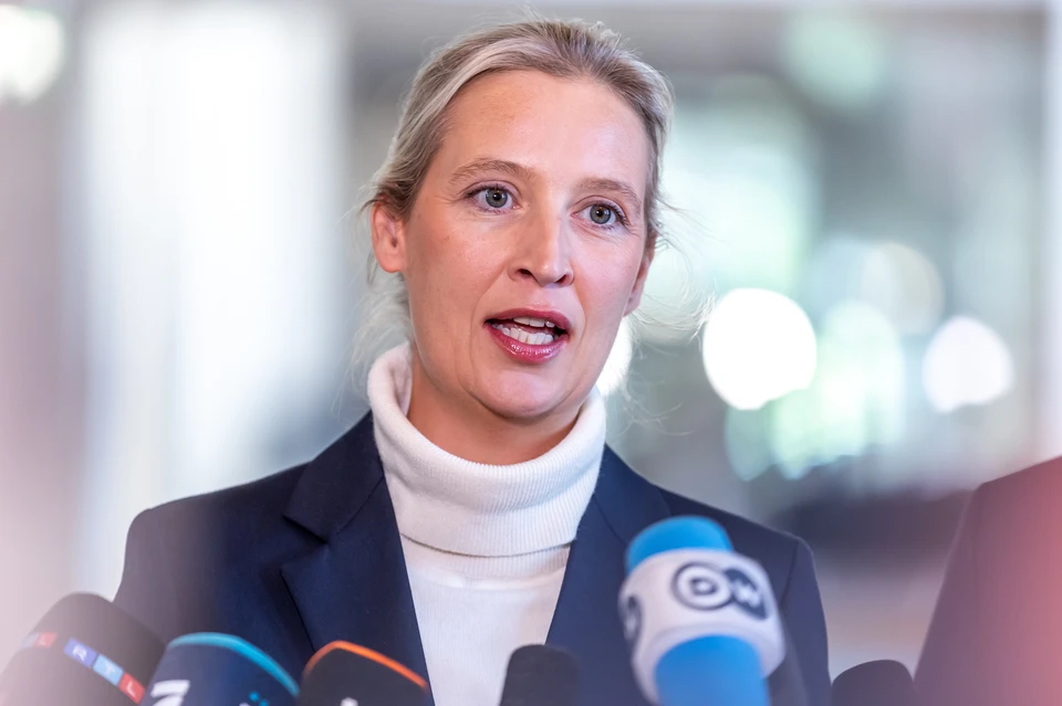 Лидер АДГ Вайдель раскритиковала Мерца за снятие ограничений с Украины