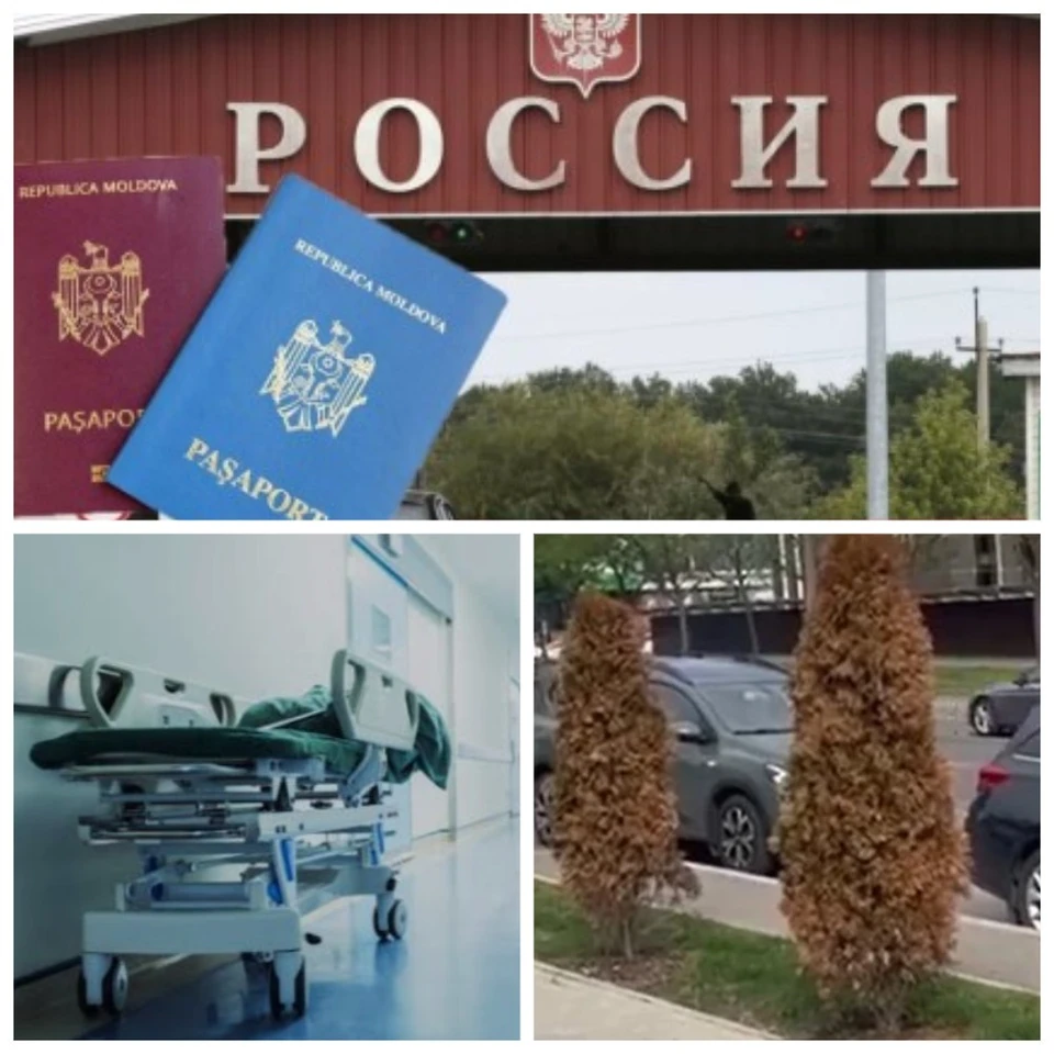 Главные новости в Молдове.