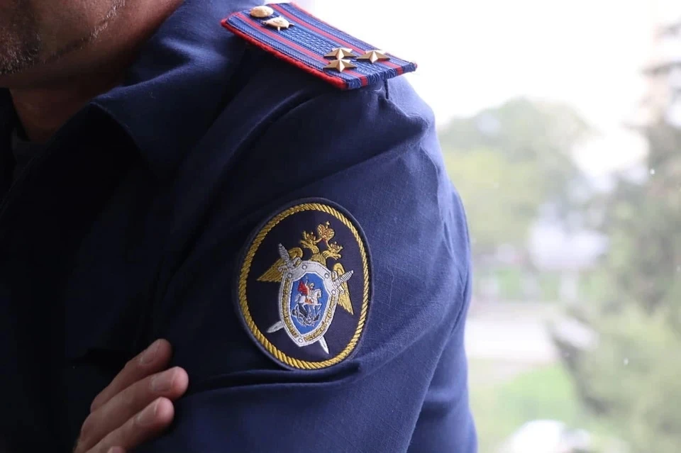 В Подмосковье трех блогеров арестовали после провокационного видео