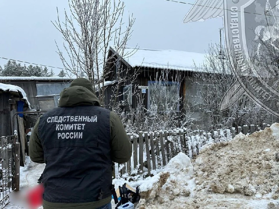 Фото: пресс-служба СУ СК России по Костромской области