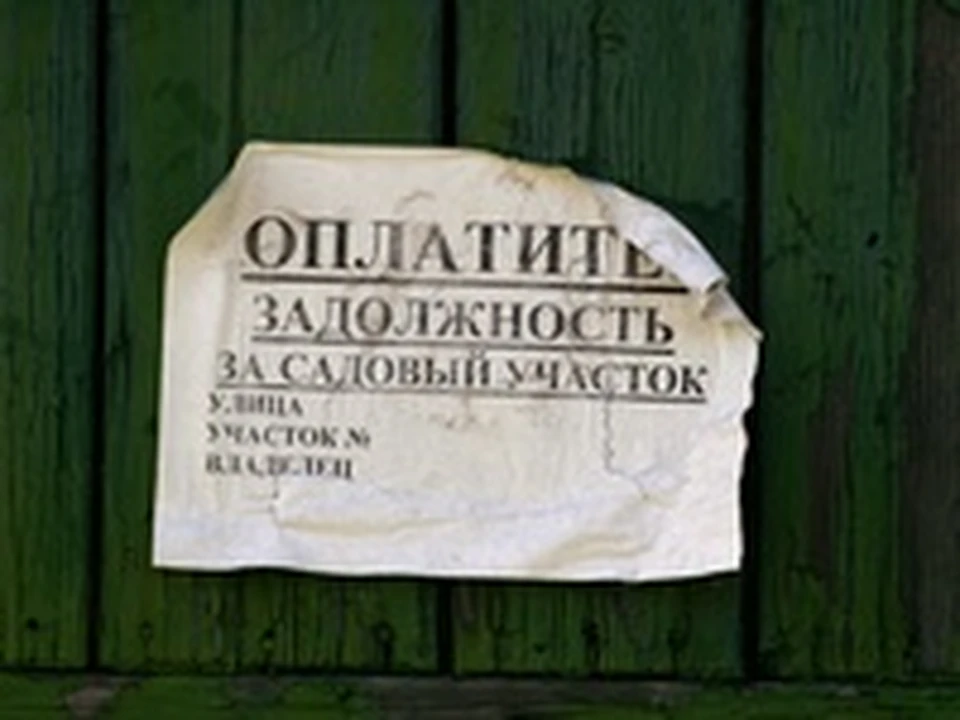 Картинка правление снт
