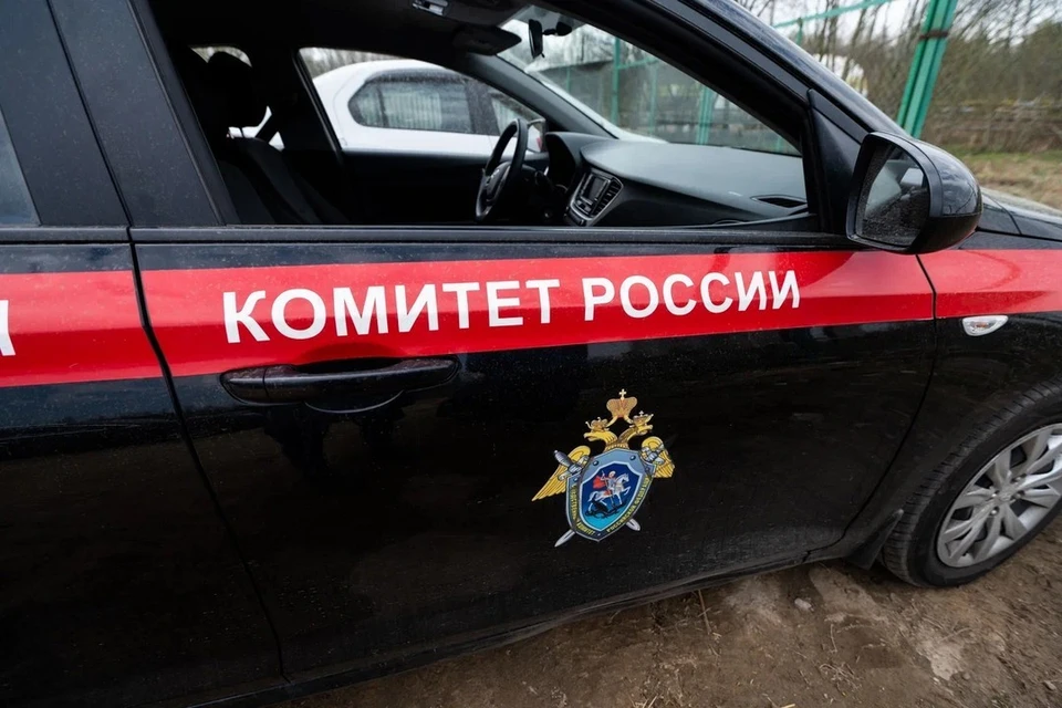Следователи разбираются в истории с похищением 17-летней девушки в Новосибирске.
