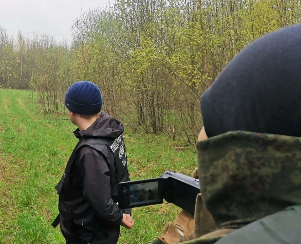 Фото: СУ СК по Вологодской области.