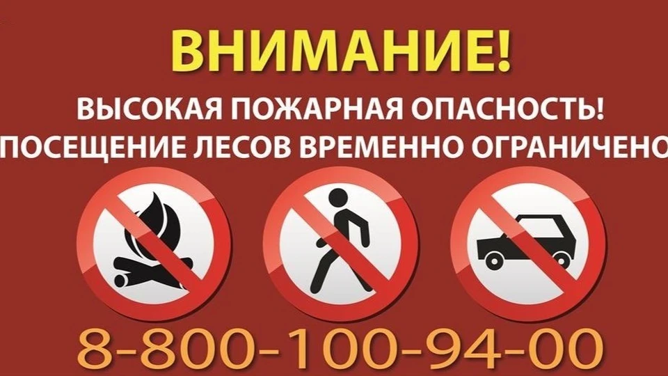 Охрана лесов от пожаров осуществляется в усиленном режиме