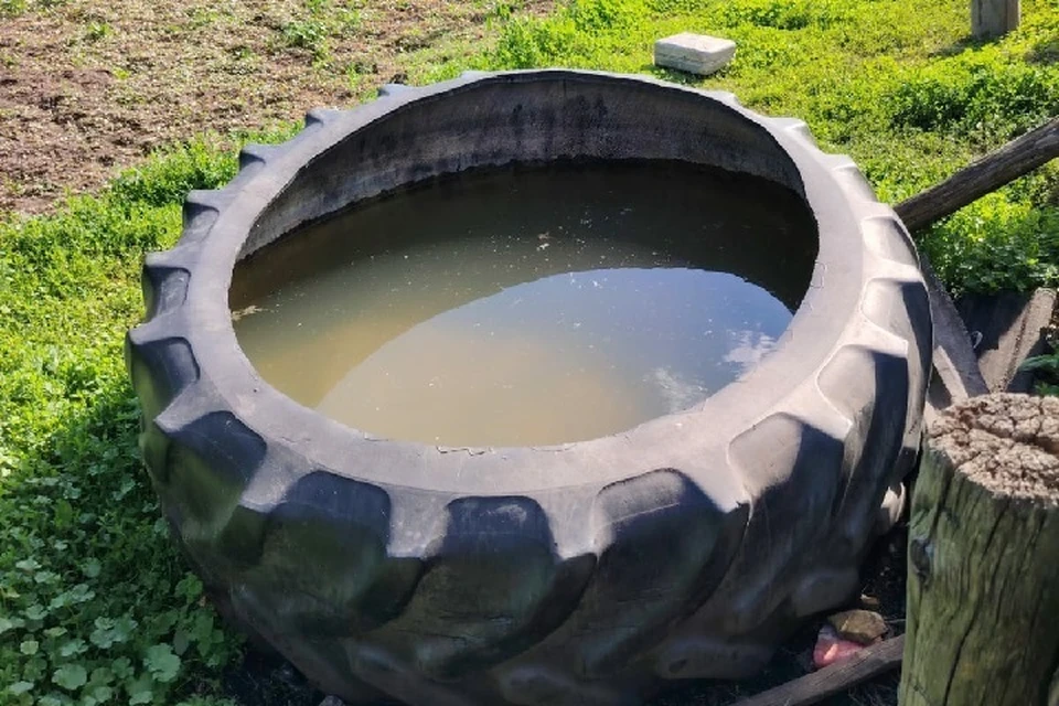 Место происшествия.