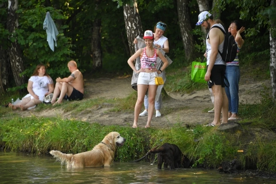 Пока что купаться можно на пяти пляжах