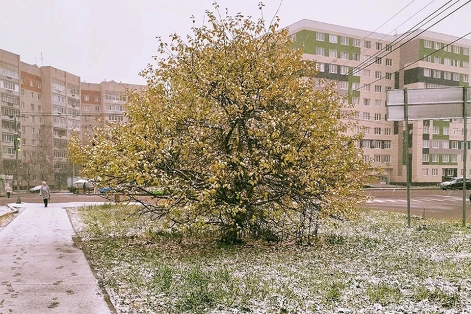 Коммунальщики не следили за состоянием двора. Фото: Георгий БРИНЧУК