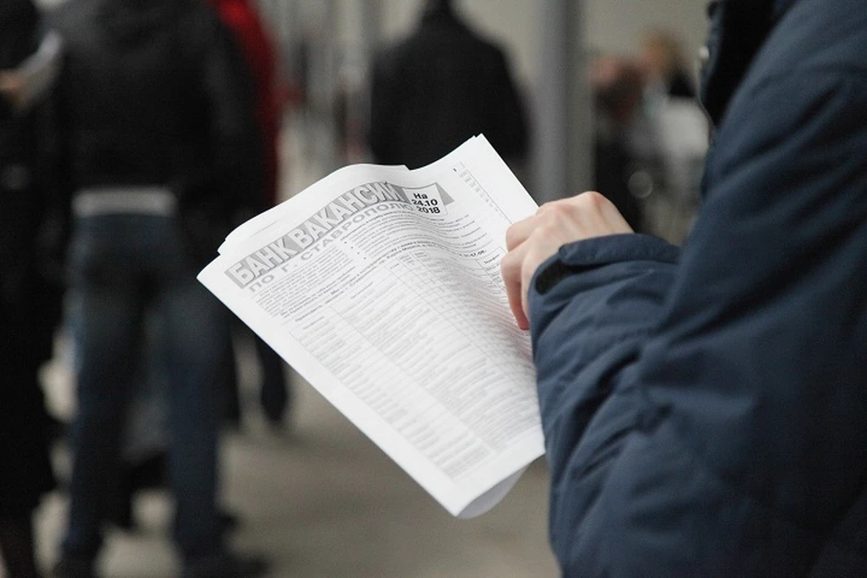 С начала 2025 года в краевой кадровый центр обратились более 2,2 тыс. молодых людей