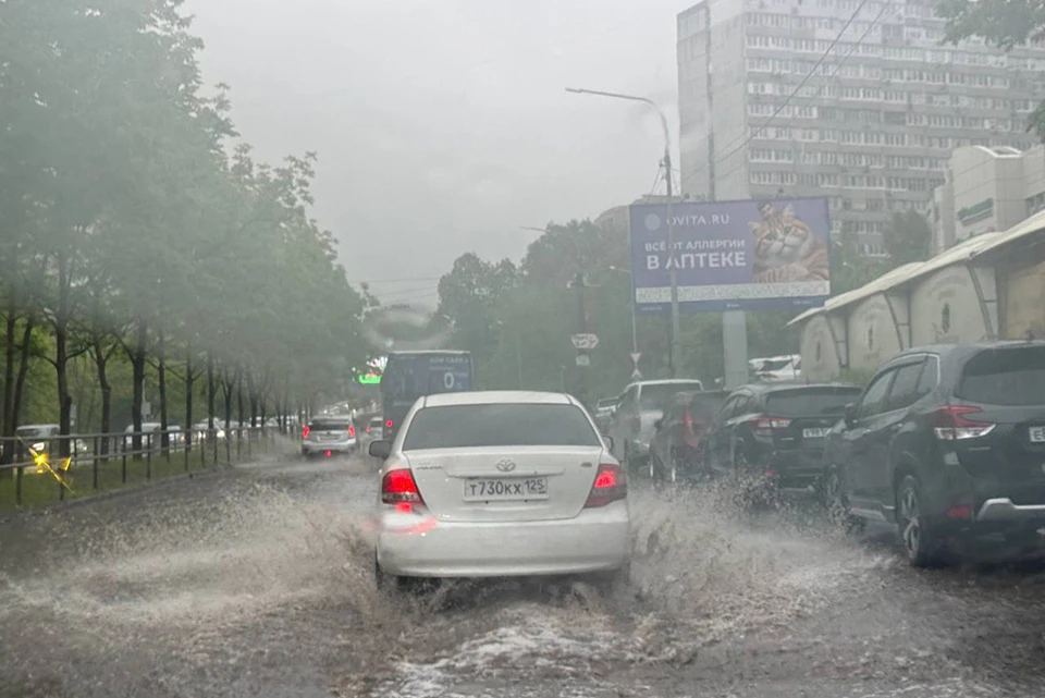 Во Владивостоке кроме осадков местами возможен туман.