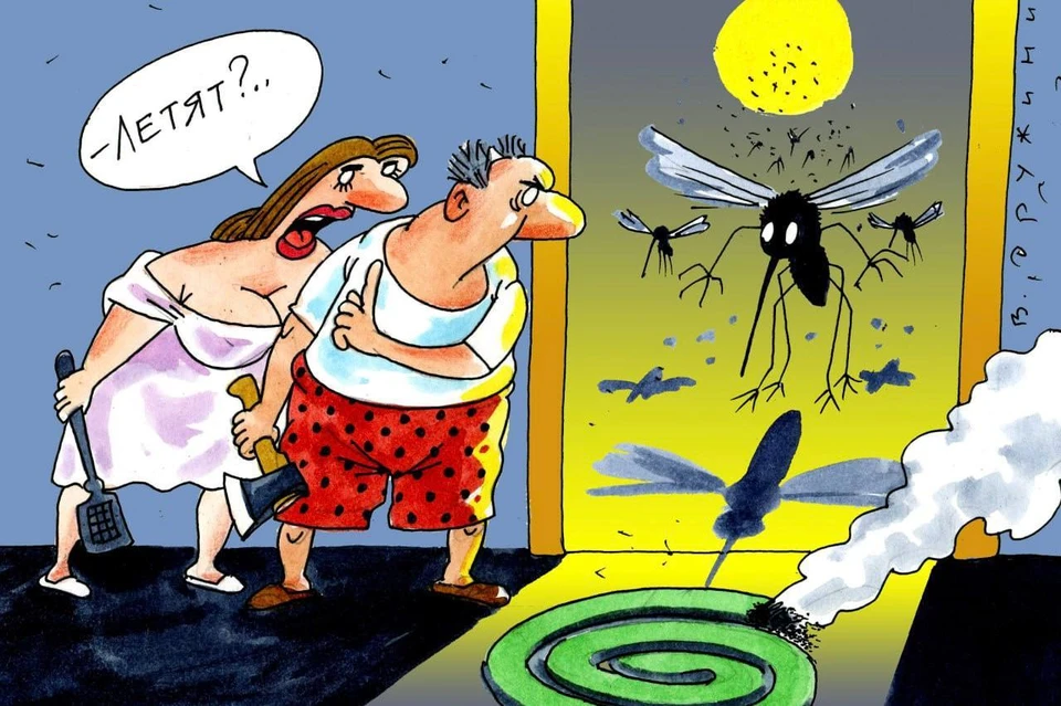 Карикатура. Комары