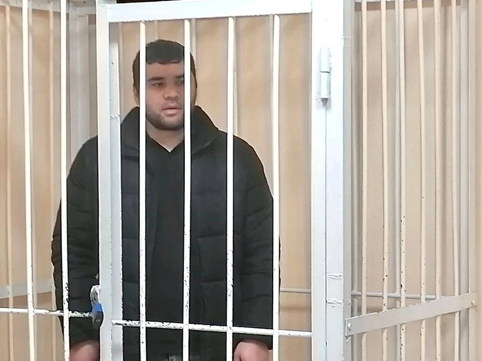Новосибирский суд не стал смягчать срок иностранцу, виновному в дискредитации ВС РФ. Фото: Новосибирский областной суд