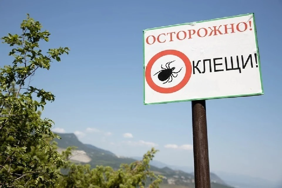 Зарегистрировано пять случаев заболевания КГЛ