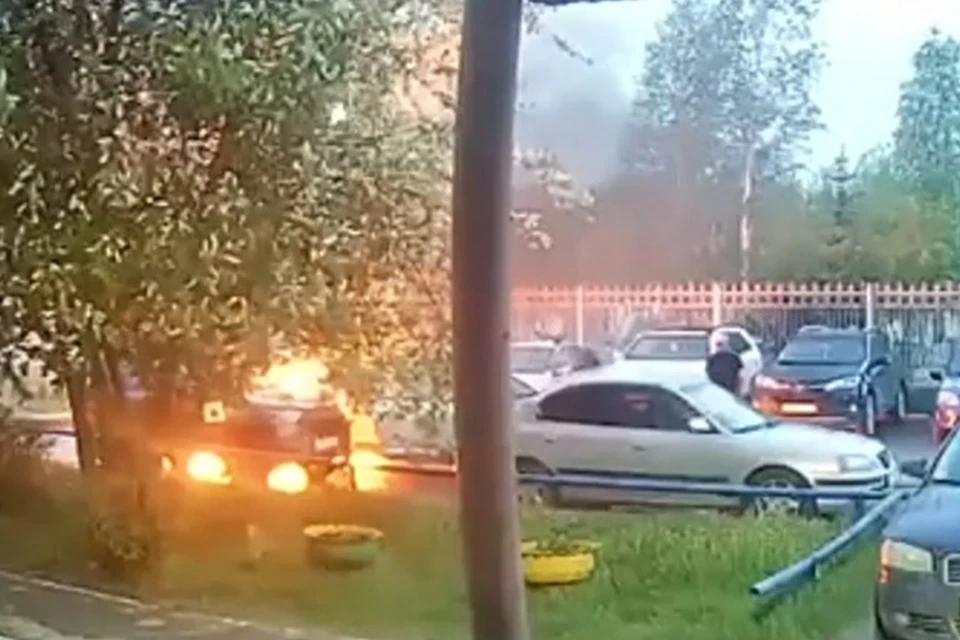 Скрин с видео