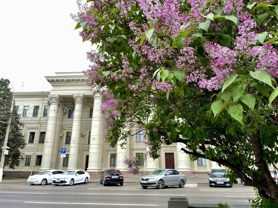 Имя нового руководителя инспекции назовет губернатор.
