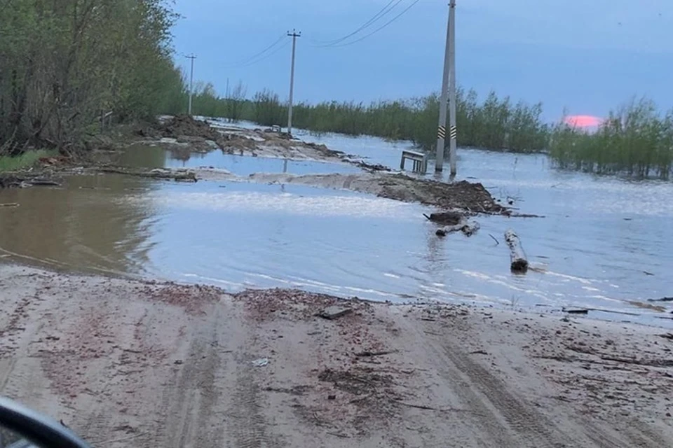 Фото: Юлии Нечаевой