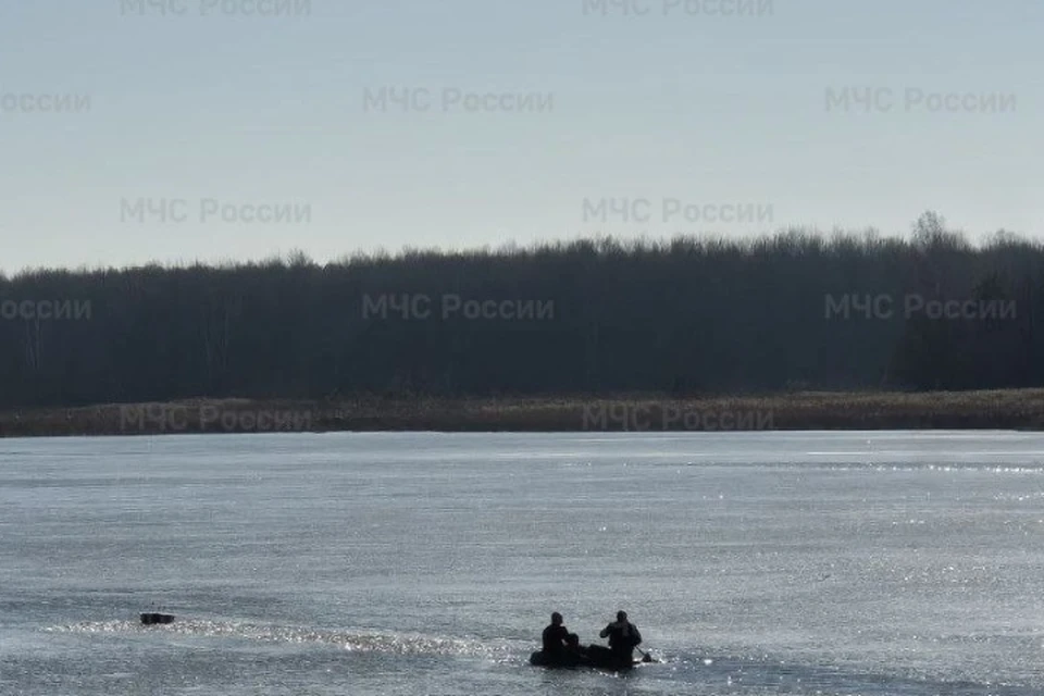 Фото: пресс-служба ГУ МЧС России по Брянской области.