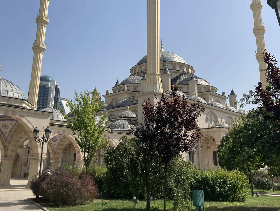 Фото предоставлено КП